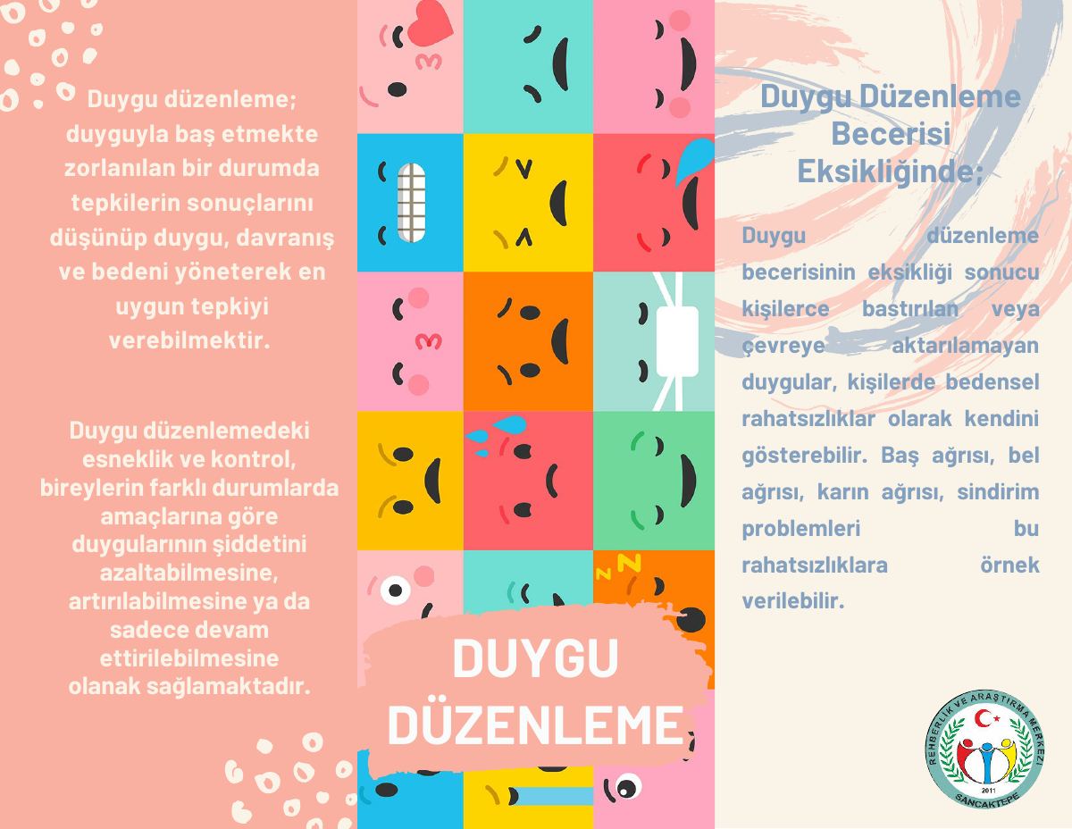 Duygu Düzenleme — gerçek ilk sayfa