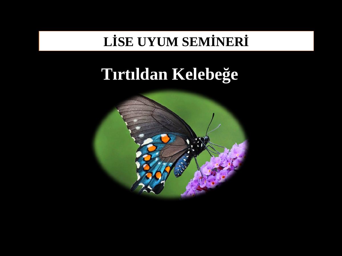 Uyum Semineri Lise — gerçek ilk sayfa