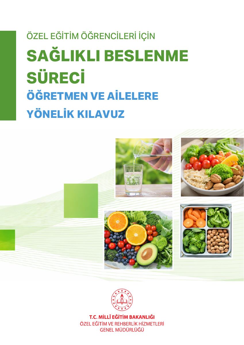 Özel Eğitim Öğrencileri İçin Sağlıklı Beslenme Süreci: Öğretmen ve Ailelere Yönelik Kılavuz — gerçek ilk sayfa