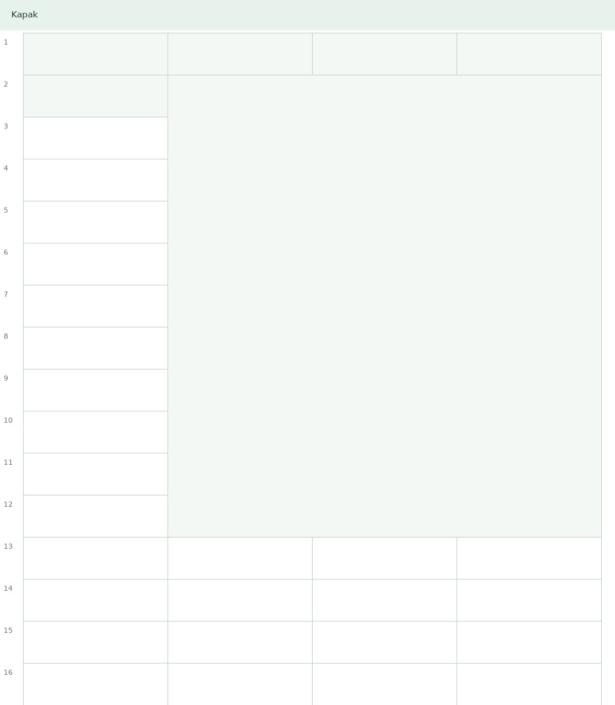 BEP Ornek Format Excel — gerçek ilk sayfa