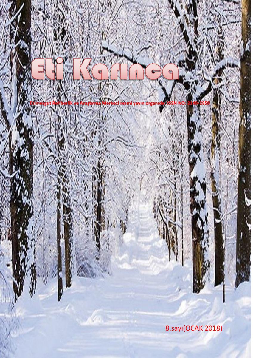 EtiKARINCA 8. sayı — gerçek ilk sayfa