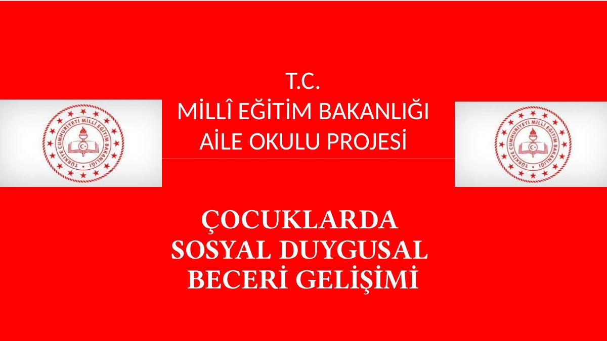 ÇOCUKLARDA SOSYAL DUYGUSAL BECERİ GELİŞİMİ SUNUMU — gerçek ilk sayfa