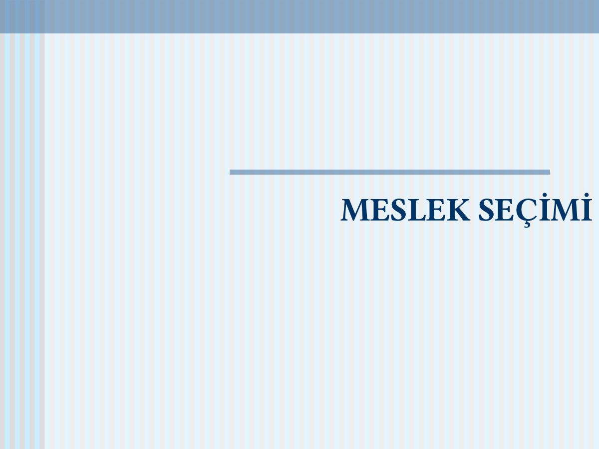 Meslek Seçimi — gerçek ilk sayfa