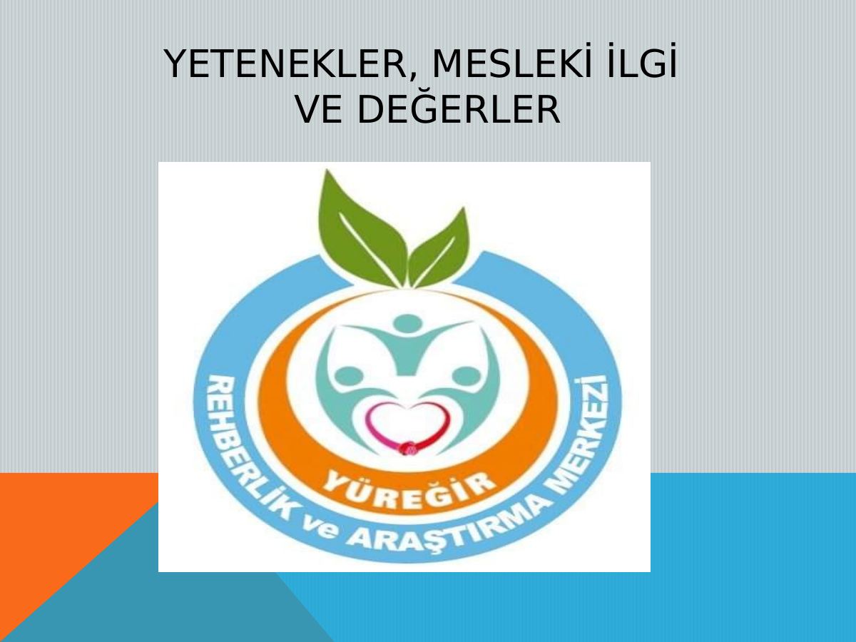 Mesleki İlgi ve Değerler Sunum — gerçek ilk sayfa