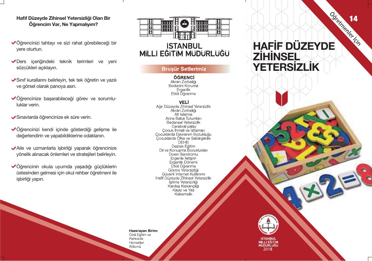 Hafif Düzeyde Zihinsel Yetersizlik — gerçek ilk sayfa